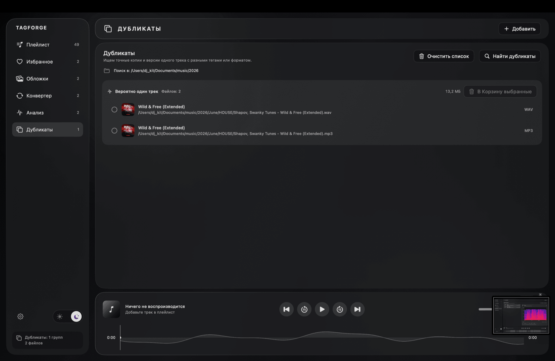 Дубликаты в TagForge